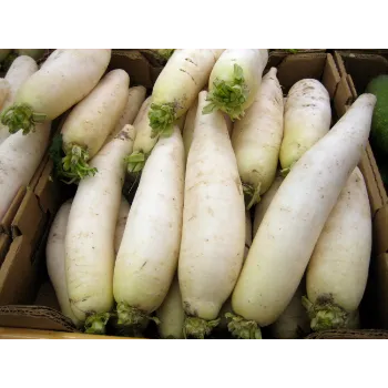 Natural Radish